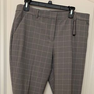 Express columnist pants